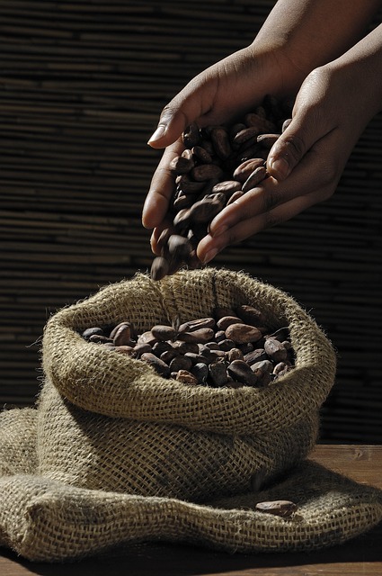 Feijão Carioca (1 kg)